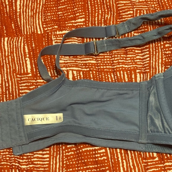 Cacique Denim Bra and Thong set - Picture 10 of 15